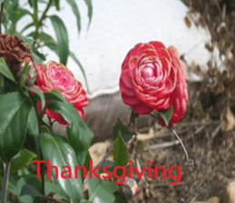 Sound sticker #15925885