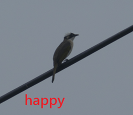 Sound sticker #15925886