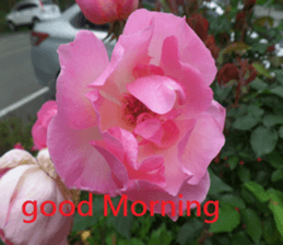 Sound sticker #15925888