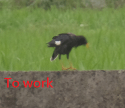 Sound sticker #15925889