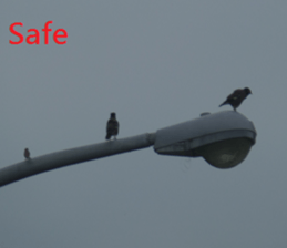 Village sticker #15926266