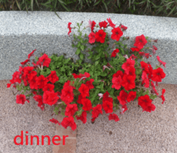 Village sticker #15926269