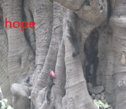 Village sticker #15926270