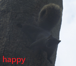 Village sticker #15926271