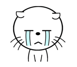 Rady Cat (english ver) sticker #15926741