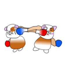 Guinea pig mo-chan & mo-kochanSticker sticker #15927563