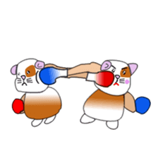 Guinea pig mo-chan & mo-kochanSticker sticker #15927563