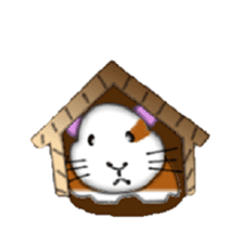 Guinea pig mo-chan & mo-kochanSticker sticker #15927566