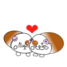 Guinea pig mo-chan & mo-kochanSticker sticker #15927567