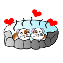 Guinea pig mo-chan & mo-kochanSticker sticker #15927568