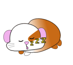 Guinea pig mo-chan & mo-kochanSticker sticker #15927577