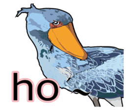 Sluggish bird Shoebill sticker #15930001