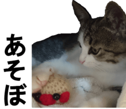 ling's cat sticker2 sticker #15930323