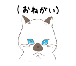 ultra cat sticker #15931825