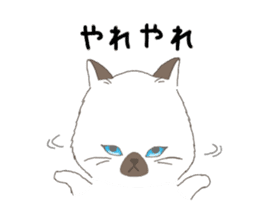 ultra cat sticker #15931830