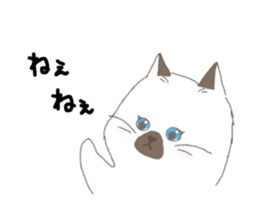 ultra cat sticker #15931831