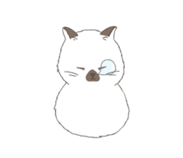 ultra cat sticker #15931834