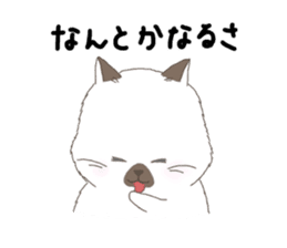 ultra cat sticker #15931840