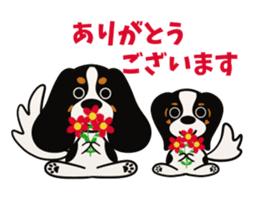 Cavalier King Charles Spaniel Tricolor sticker #15932103