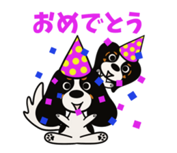 Cavalier King Charles Spaniel Tricolor sticker #15932115