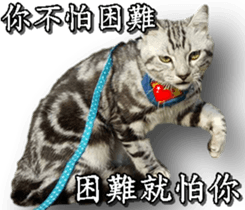 Yoyo say....... sticker #15932219