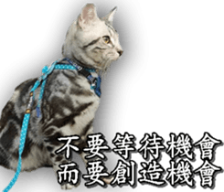 Yoyo say....... sticker #15932220