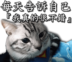 Yoyo say....... sticker #15932223