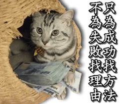 Yoyo say....... sticker #15932224