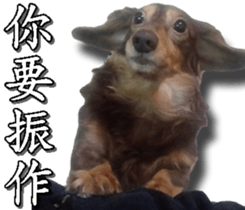 Yoyo say....... sticker #15932225