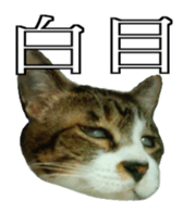 Cool cats photo stickers! (jp) sticker #15932588