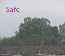 Aling sticker #15933094