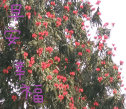 Zai Zai sticker #15934218