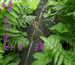 Zai Zai sticker #15934225