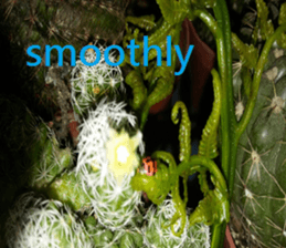 Creek house sticker #15934226