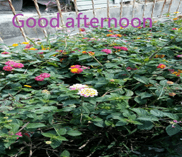 Creek house sticker #15934227