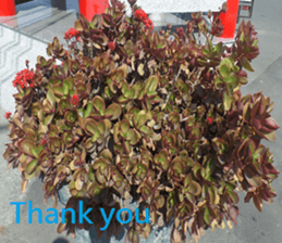 Creek house sticker #15934228