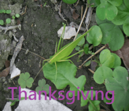 Creek house sticker #15934232