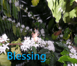 Creek house sticker #15934233