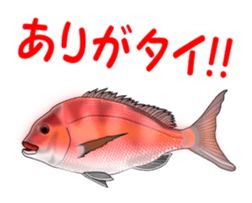 Fishes sticker #15934420