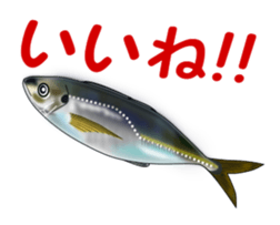 Fishes sticker #15934424