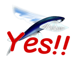 Fishes sticker #15934425