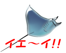 Fishes sticker #15934433