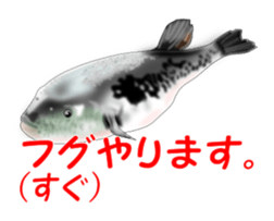Fishes sticker #15934434