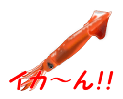 Fishes sticker #15934436