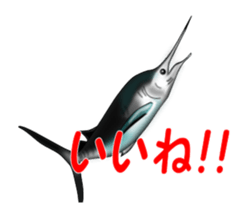 Fishes sticker #15934438