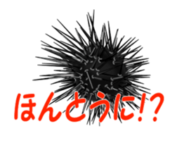 Fishes sticker #15934439