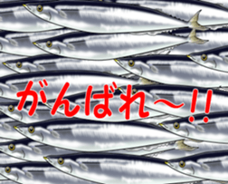 Fishes sticker #15934442