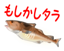 Fishes sticker #15934450