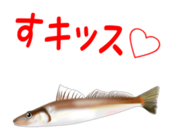 Fishes sticker #15934451