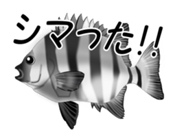 Fishes sticker #15934452